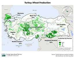 images\TU\cropprod\Turkey_wheat_preview.jpg